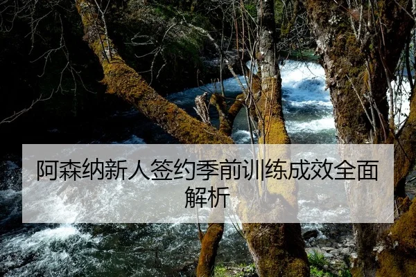 阿森纳新人签约季前训练成效全面解析
